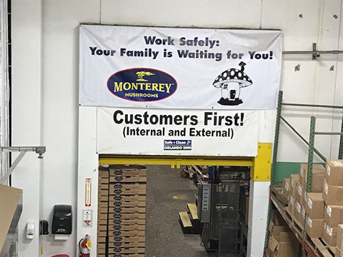 mushroom grow room humidifier